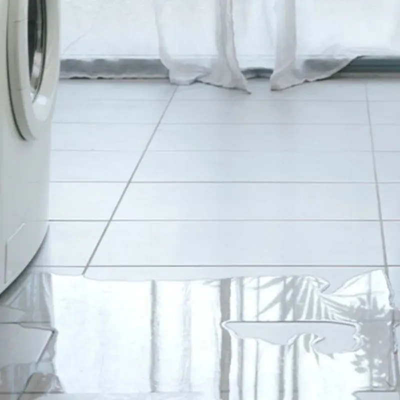 Appliance Leak Cleanup in Litchfield, MI
