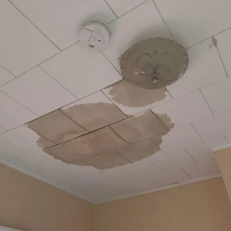 Ceiling Water Damage Repair in Litchfield, MI