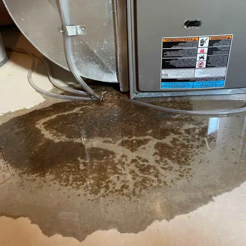 Pipe Burst and Leak Restoration in Litchfield, MI