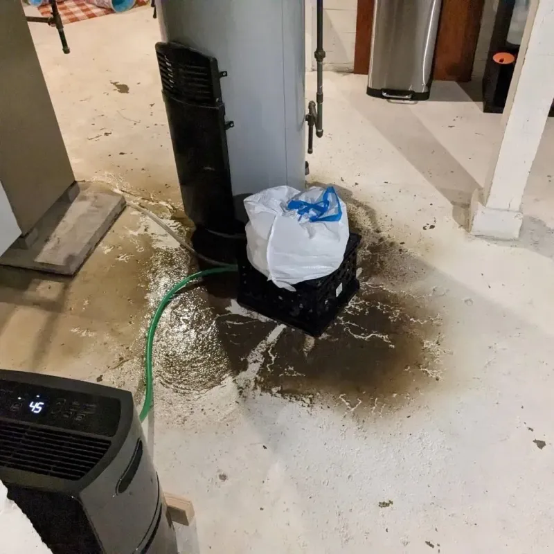 Sewage Backup Cleanup Service in Litchfield, MI